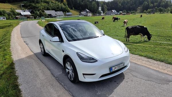 Tesla ponovno znižuje cene v Sloveniji, model Y s subvencijo stane manj kot 40 tisoč evrov