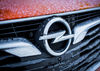 011-Opel-Thomatal2018-5a8bfe437a0c7-5a8bfe437df51.jpg