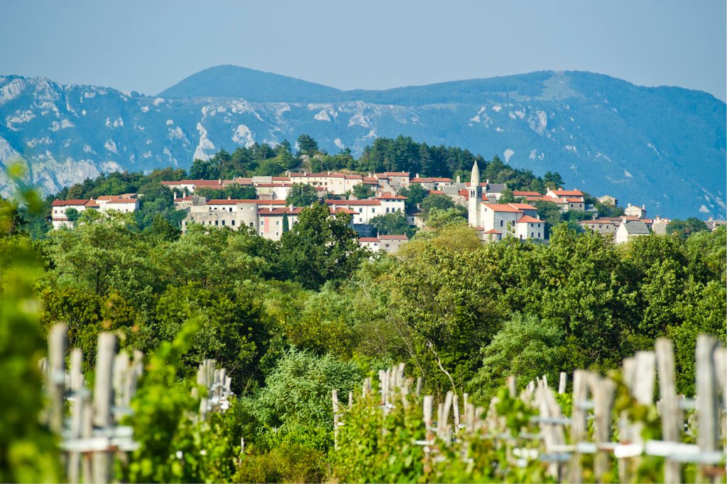 Kraški razvojni forum: Od kamna do vesolja Kraški razvojni forum: Od kamna do vesolja