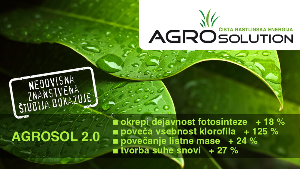 Kako so v podjetju Jeruzalem Ormož Sat, d. o. o., pomembno povečali hektarski donos