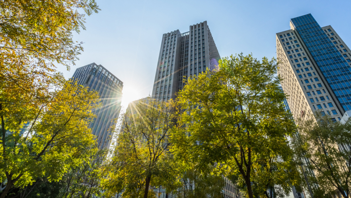 Kako skrbni pregled ODU-vidikov usmerja naložbe: PlanRadarjeva bela knjiga