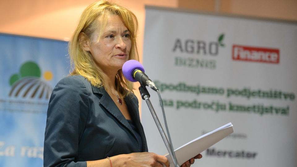 Kaj je dobro vedeti, ko iščemo pravo dopolnilno dejavnost na kmetiji 
