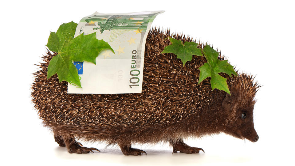 Koliko prihrankov in koliko dolgov imamo Slovenci?