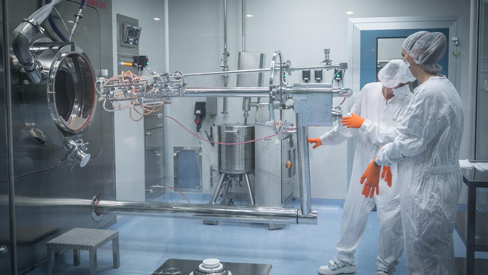 Krka v devetih mesecih dosegla že skoraj ves načrtovani dobiček za letos