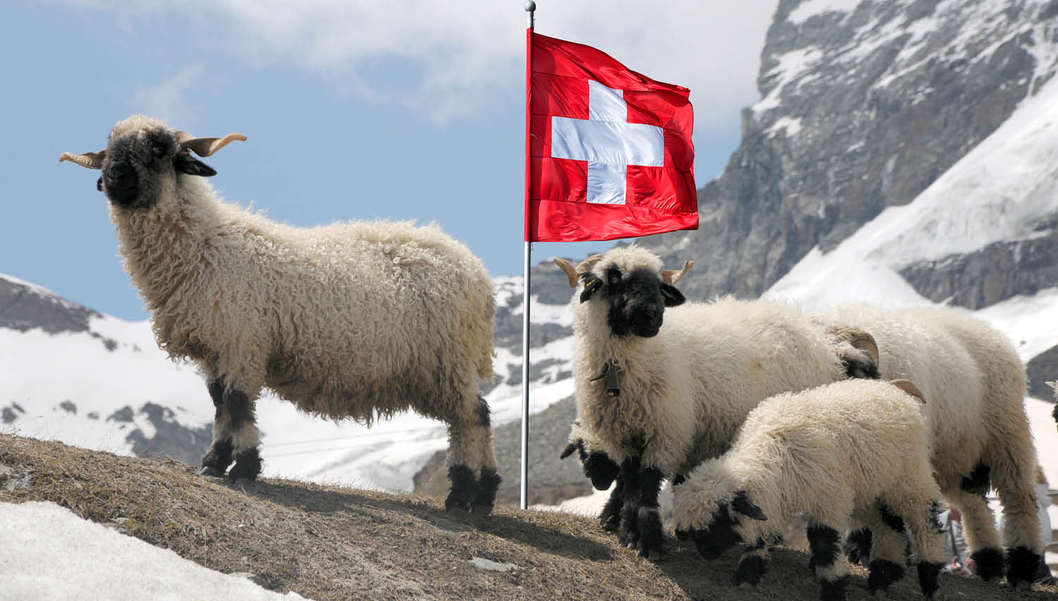  Vrhovno sodišče odločilo v korist posojilojemalcev v švicarskih frankih