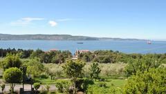 Ta stanovanja, hiše in zemljišča lahko na dražbah kupite od države