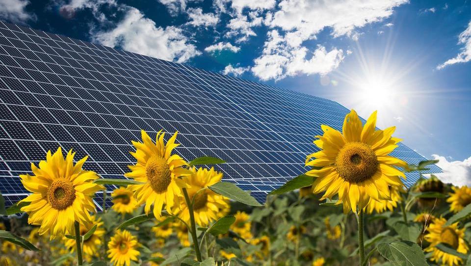 Zakaj odobritev priklopa sončne elektrarne traja tako dolgo – in kaj so lahko alternative