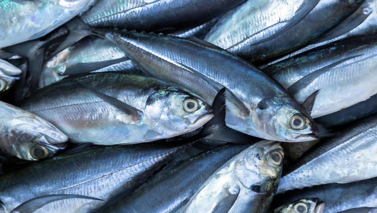 Šuštarja bi v Marinbluju morala izgubiti vse. Kaj se bo zgodilo? Šuštarja bi v Marinbluju morala izgubiti vse. Kaj se bo zgodilo?