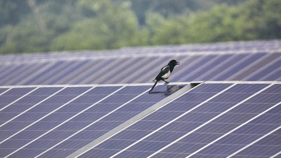 Kriza je dosegla tudi proizvajalce fotovoltaik. Kaj to pomeni za nas?